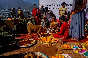 Kukur Tihar or Dog worship Day celebrate in Nepal